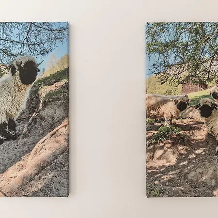 Daire Haus La Rocca By Premium Zermatt