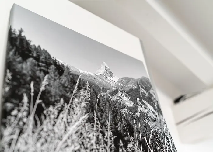 Haus La Rocca By Premium 公寓 采尔马特