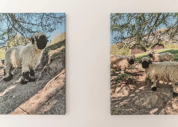 公寓 Haus La Rocca By Premium 采尔马特