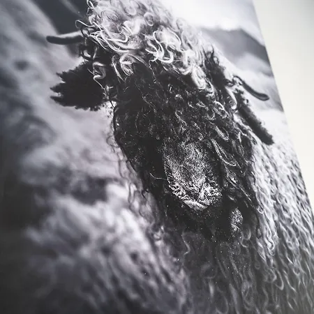 Διαμέρισμα Haus La Rocca By Premium